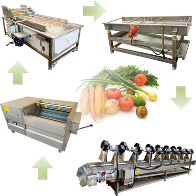 Máquina de lavado y secado de frutas y hortalizas totalmente automática para la limpieza de la línea de procesamiento