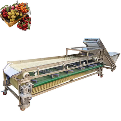 Máquina de clasificación de pista naranja multifuncional para la clasificación de la yujuba de palma y el tomate de dátil