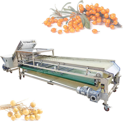 Máquina de clasificación de pista naranja multifuncional para la clasificación de la yujuba de palma y el tomate de dátil