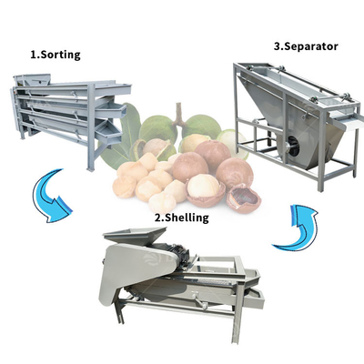 Industria alimentaria Cracker y máquina de separación de núcleos de almendras de palma con función automática