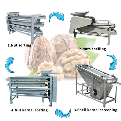 Industria alimentaria Cracker y máquina de separación de núcleos de almendras de palma con función automática