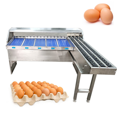 Máquina de clasificación de huevos precisa con una capacidad de 5400 huevos por hora y fácil de operar