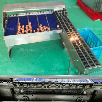Máquina de clasificación de huevos precisa con una capacidad de 5400 huevos por hora y fácil de operar