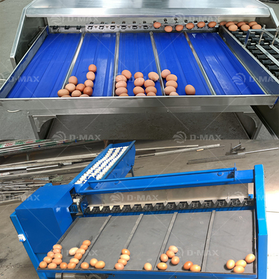 Máquina de clasificación de huevos precisa con una capacidad de 5400 huevos por hora y fácil de operar