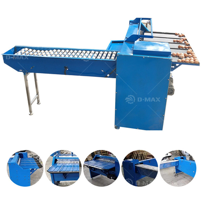 Máquina de clasificación de huevos de acero al carbono / peso KG 280 / máquina clasificadora de huevos industrial