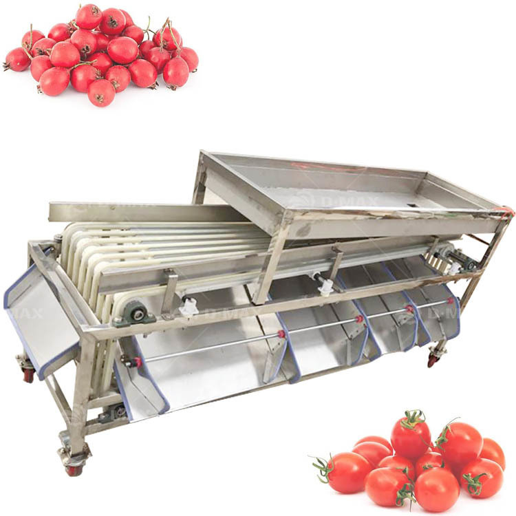 Máquina de clasificación de pista naranja multifuncional para la clasificación de la yujuba de palma y el tomate de dátil